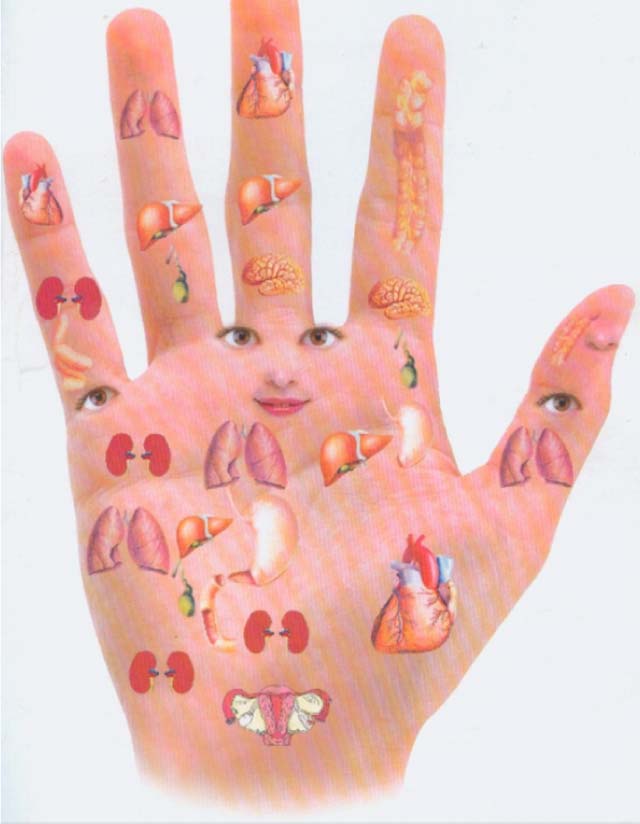  Một số cách massage bấm huyệt trên bàn tay giúp chữa bệnh