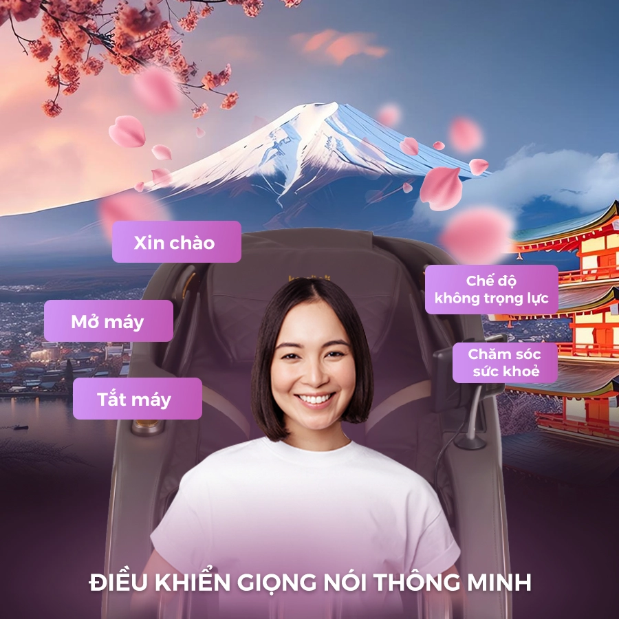 Ghế Massage Family Toàn Thân FC-666